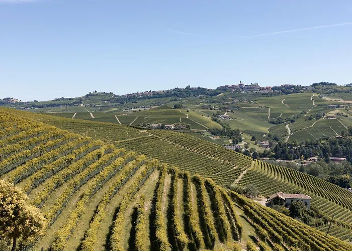 مزرعة للإقامة Respira - &